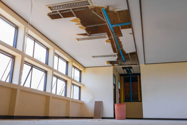 Best Water damage restoration near me  in Little Falls, NY