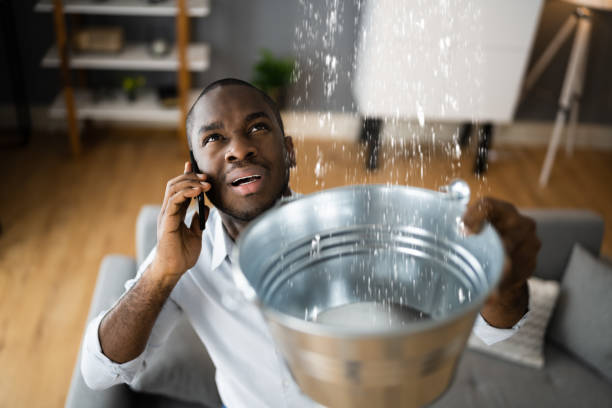 Best Basement water damage restoration  in Little Falls, NY