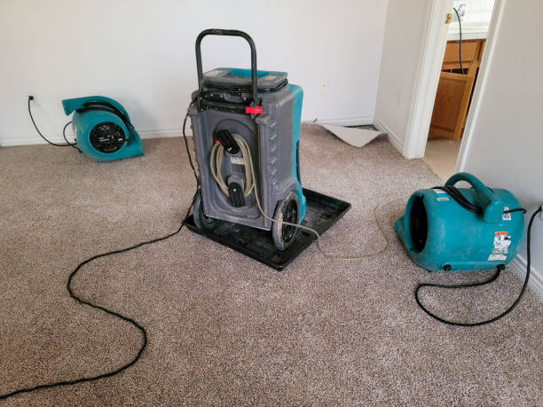 24/7 water damage repair in NY