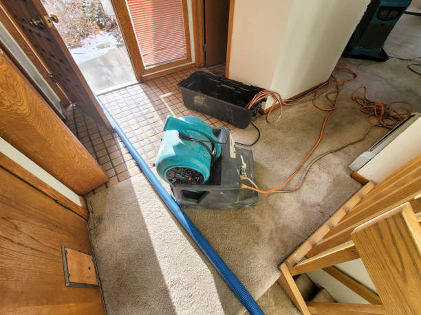 Best Flooded house restoration  in Little Falls, NY