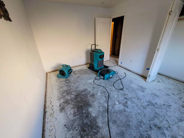 Best Water damage mitigation services  in Little Falls, NY